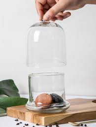 Bell Jar